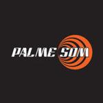Logo Palmeson